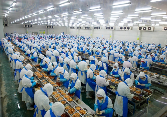 預制菜賽道再添新動能 洪湖兩企業獲省重點扶持，有機稻谷研發成亮點